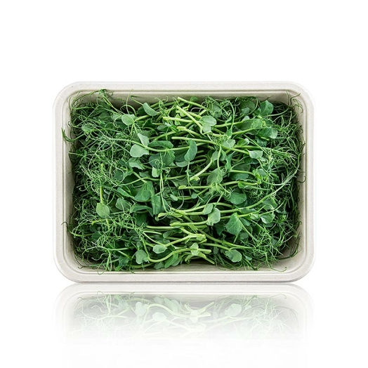 Erbsen Microgreens ganz junge Blätter / Keimlinge, vollgepackt, 100 g