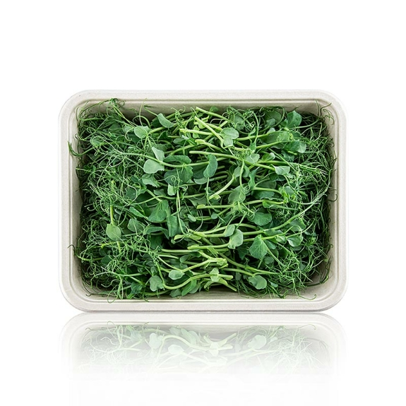 Erbsen Microgreens
					ganz junge Blätter / Keimlinge, vollgepackt, 100 g
				