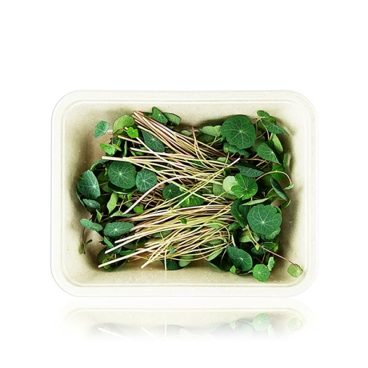 Kapuzinerkresse Microgreens ganz junge Blätter / Keimlinge, vollgepackt, 50 g