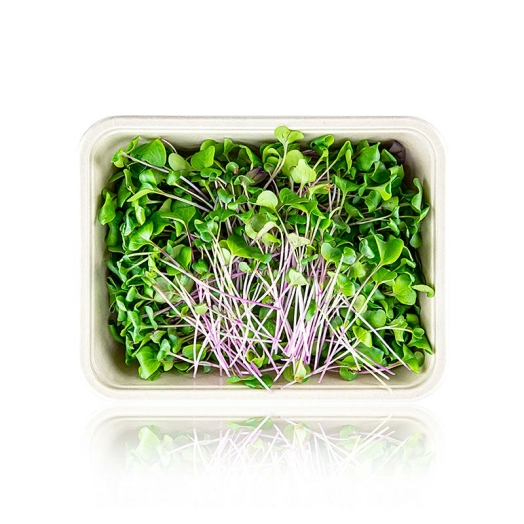 Radieschen Grün Microgreens ganz junge Blätter / Keimlinge, vollgepackt, 100 g