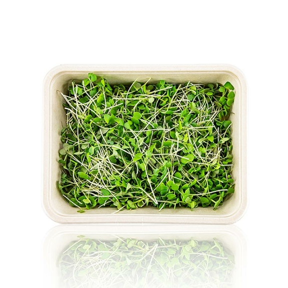 Senf Microgreens
					ganz junge Blätter / Keimlinge, vollgepackt, 75 g
				