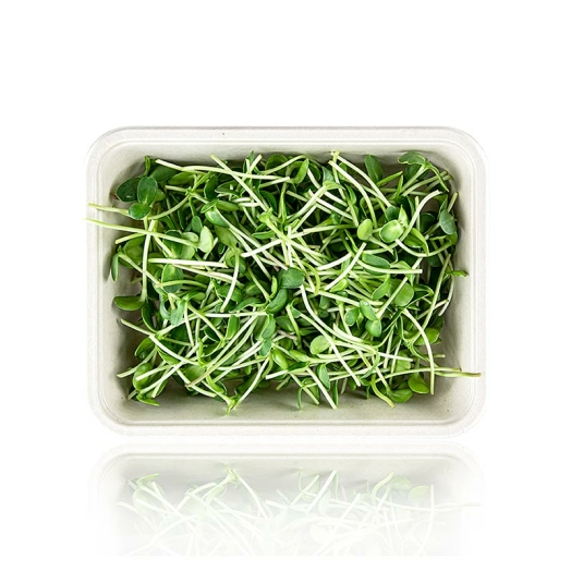 Sonnenblume Microgreens ganz junge Blätter / Keimlinge, vollgepackt, 100 g