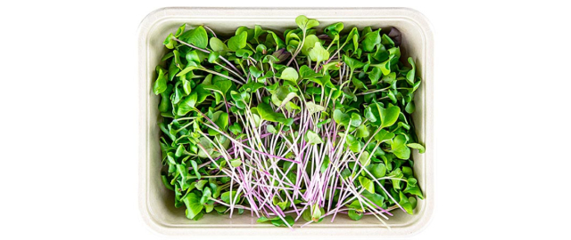 Microgreens