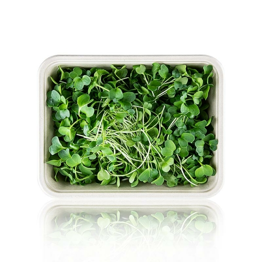 Rettich Microgreens ganz junge Blätter / Keimlinge, vollgepackt, 100 g