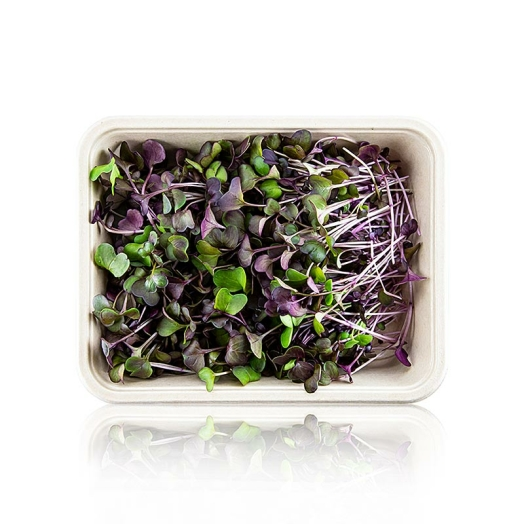 Radieschen Rot Microgreens ganz junge Blätter / Keimlinge, vollgepackt, 100 g