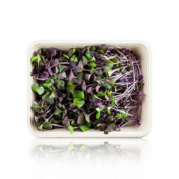 Radieschen Rot Microgreens
					ganz junge Blätter / Keimlinge, vollgepackt, 100 g
				