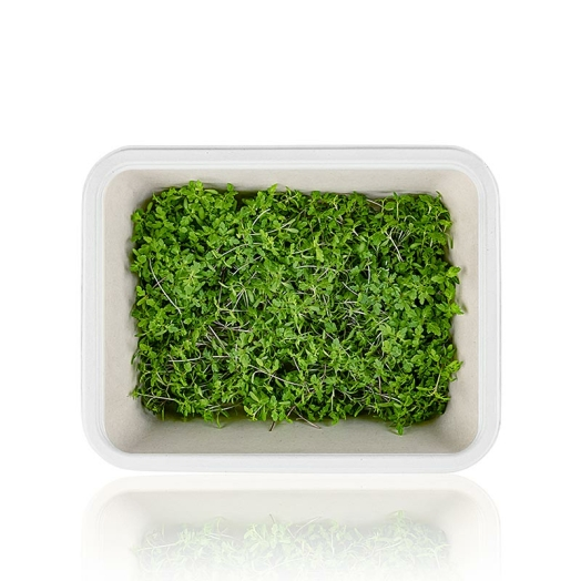 Tagete Lemon Microgreens ganz junge Blätter / Sprossen, vollgepackt, 25 g